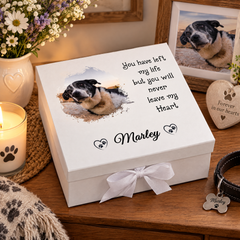 Custom Pet Memorial Box With Photo For Pet Lovers Personalised Condolence & Memory Treasure Sympathy Gift ukgiftstoreonline