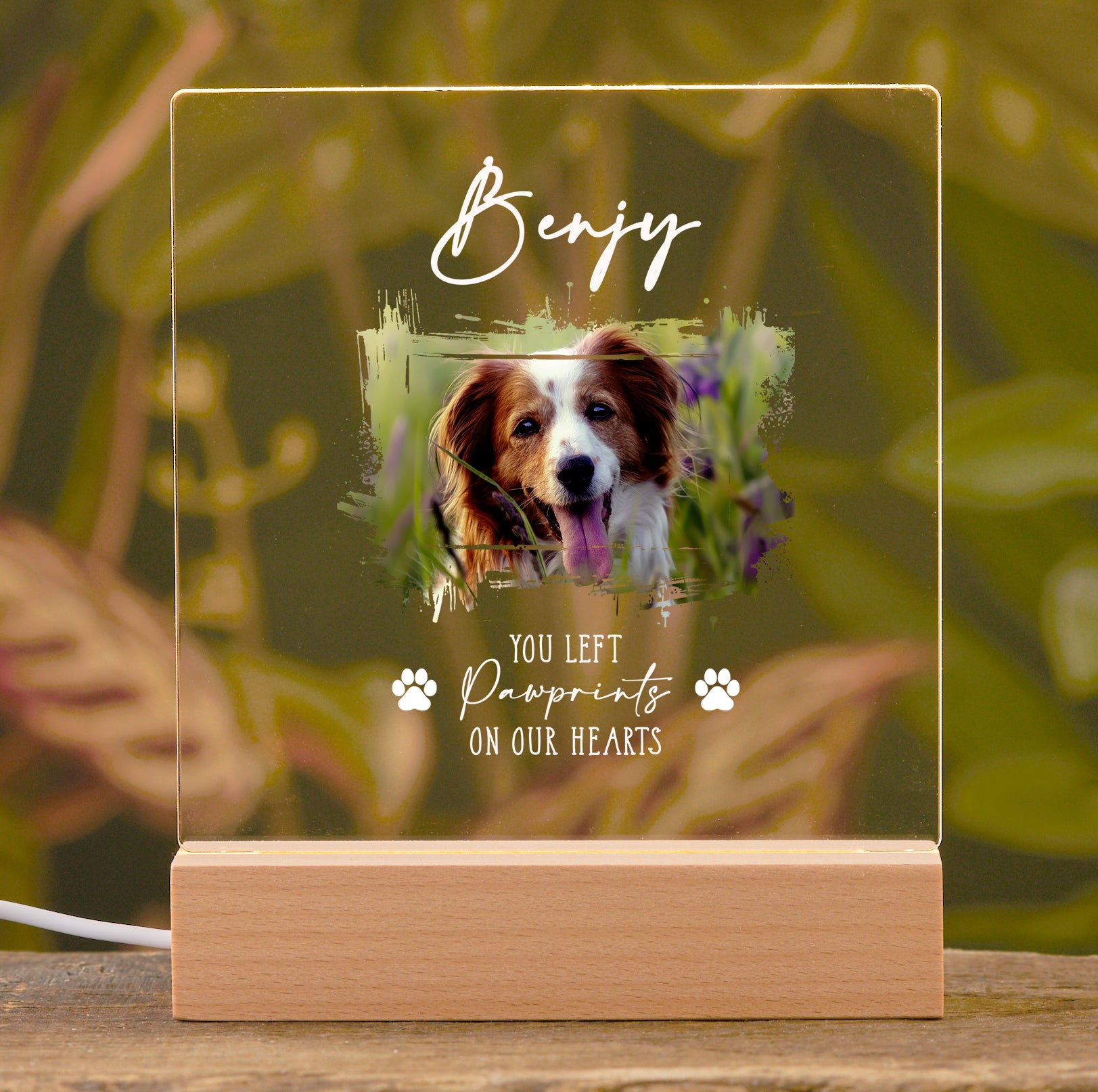 Personalised Pet Photo Memorial Lamp Night Light Gift Personalised Heart Gifts ukgiftstoreonline