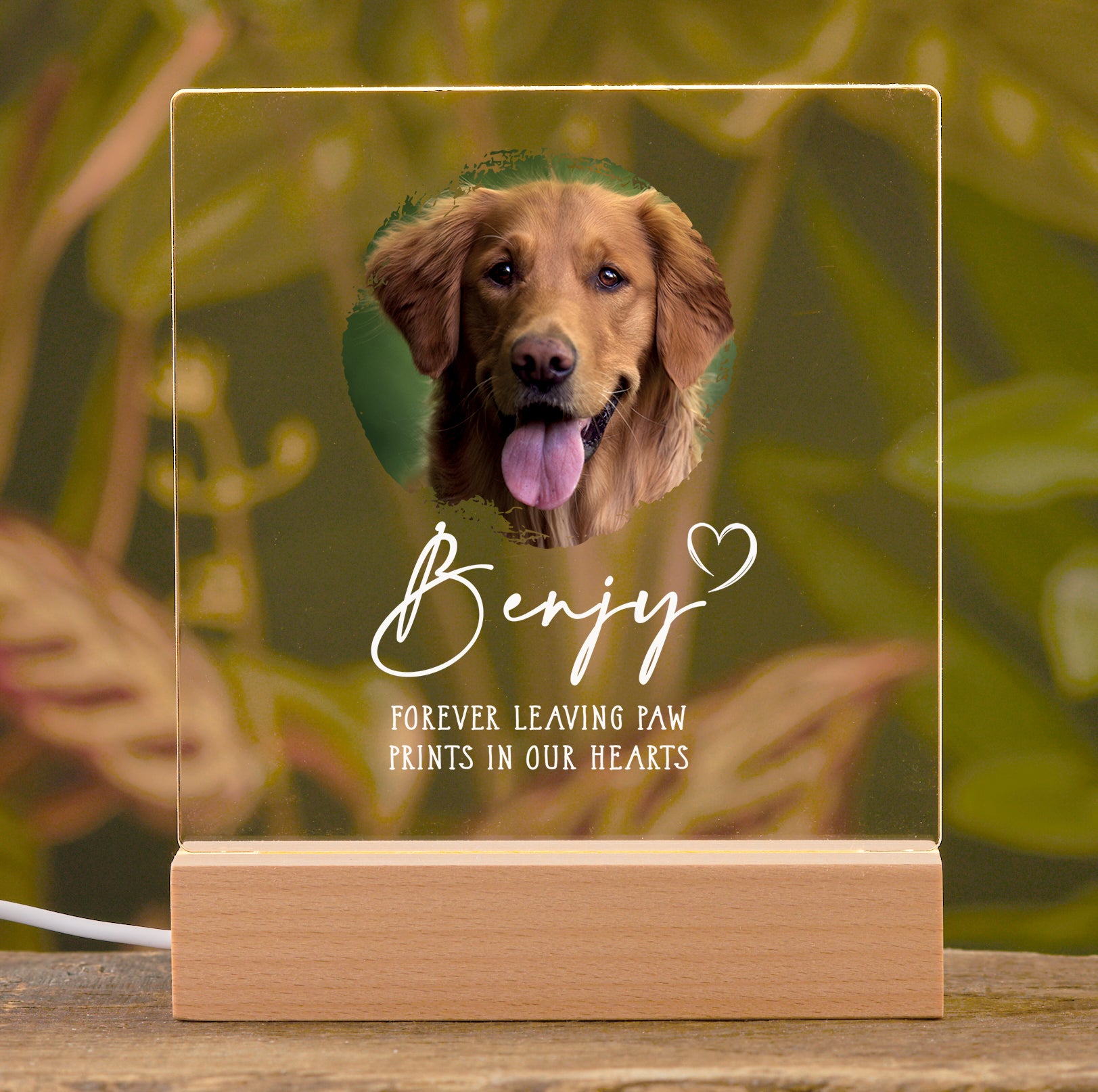 Personalised Pet Photo Memorial Lamp Night Light Gift Circle frame Personalised Night Light ukgiftstoreonline