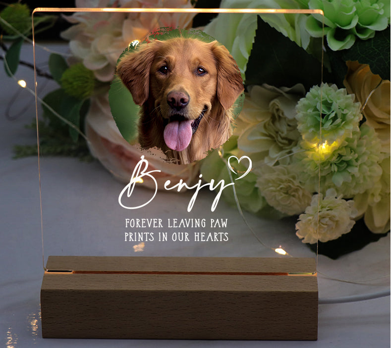 Personalised Pet Photo Memorial Lamp Night Light Gift Circle frame Personalised Night Light ukgiftstoreonline