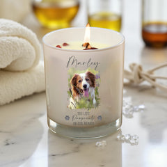 Personalised Remembrance Pet Memorial Photo Candle With Variety of Scents and Colours