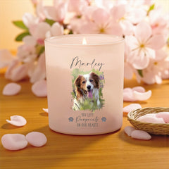 Personalised Remembrance Pet Memorial Photo Candle With Variety of Scents and Colours