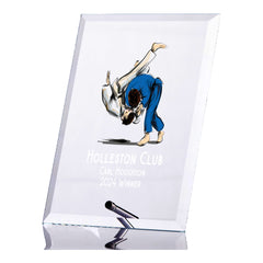 Personalised Martial Arts Trophy Plaque With Colour Print