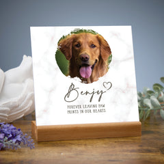 Personalised Sorry for Your Loss Pet Memorial Remembrance Plaque Plaque Sign ukgiftstoreonline Round Photo