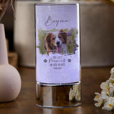 Personalised Pet Memorial Sympathy Gift Remembrance Light With Photo