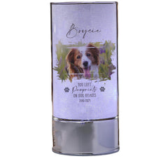 Personalised Pet Memorial Sympathy Gift Remembrance Light With Photo