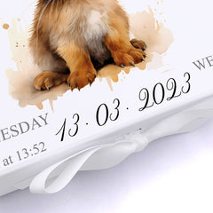 Personalised Baby Keepsake Box Memories Gift With Woodland Rabbit