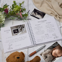 Personalised Pregnancy Journal and First Year Record Book Dinosaur Themed