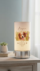 Personalised Pet Memorial Sympathy Gift Remembrance Light With Photo Personalised Lights ukgiftstoreonline