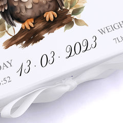 Personalised Baby Keepsake Box Memories Gift With Woodland Owl