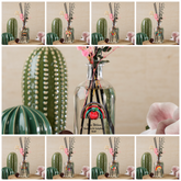 Personalised Teacher Gift Reed Diffusers With Various Sentiments