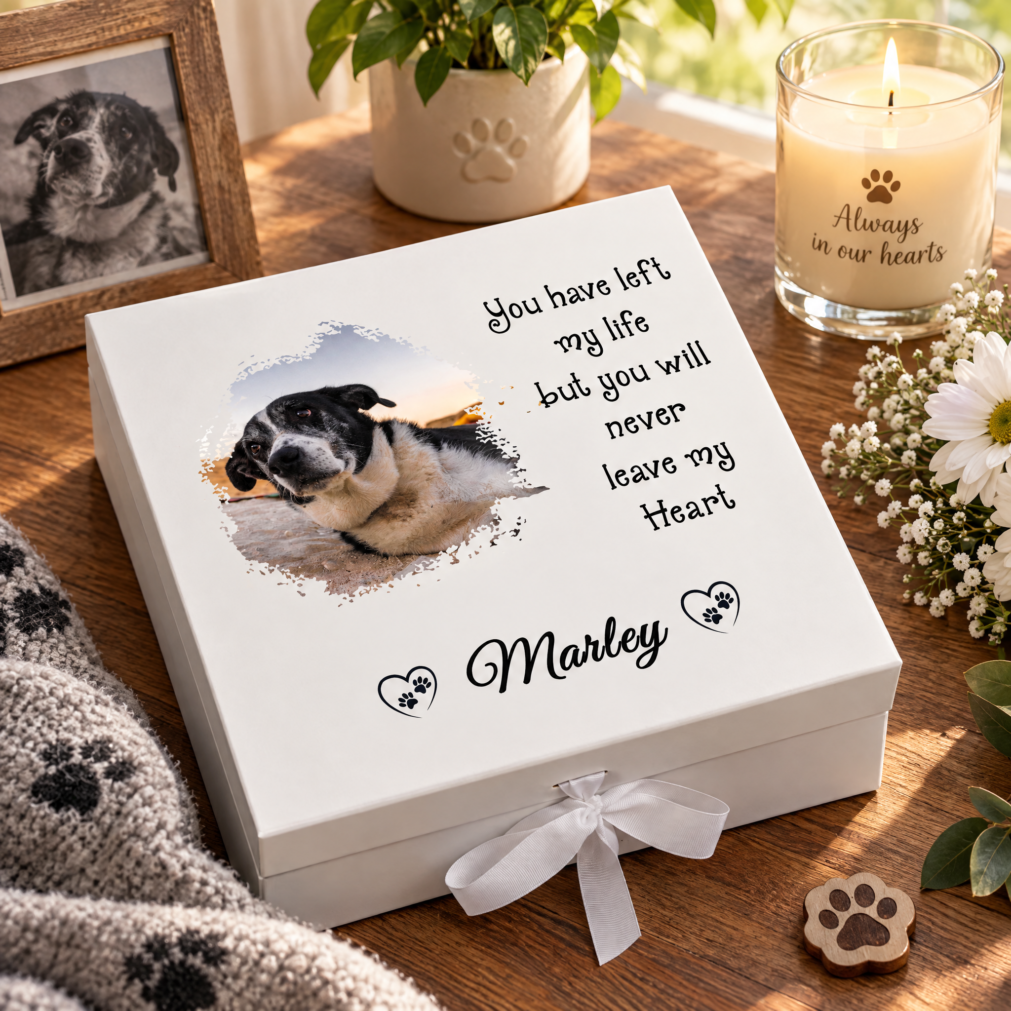 Custom Pet Memorial Box With Photo For Pet Lovers Personalised Condolence & Memory Treasure Sympathy Gift ukgiftstoreonline Ribbon Box Medium