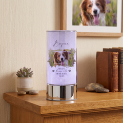 Personalised Pet Memorial Sympathy Gift Remembrance Light With Photo Personalised Lights ukgiftstoreonline