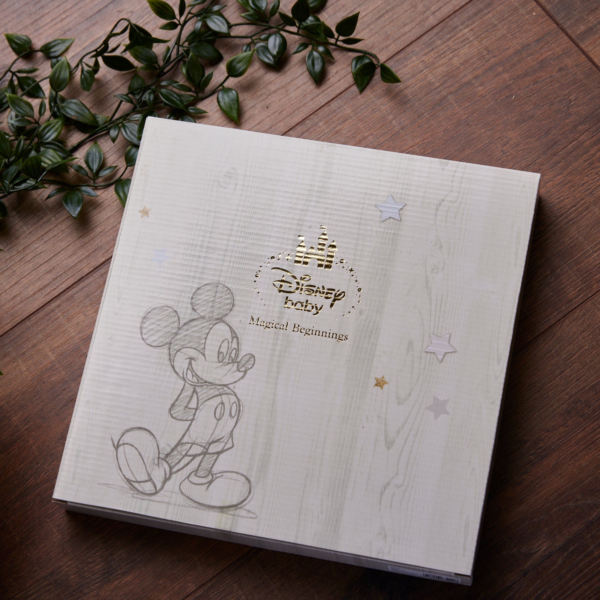  Disney Photo Album Winnie The Pooh Magical Beginnings