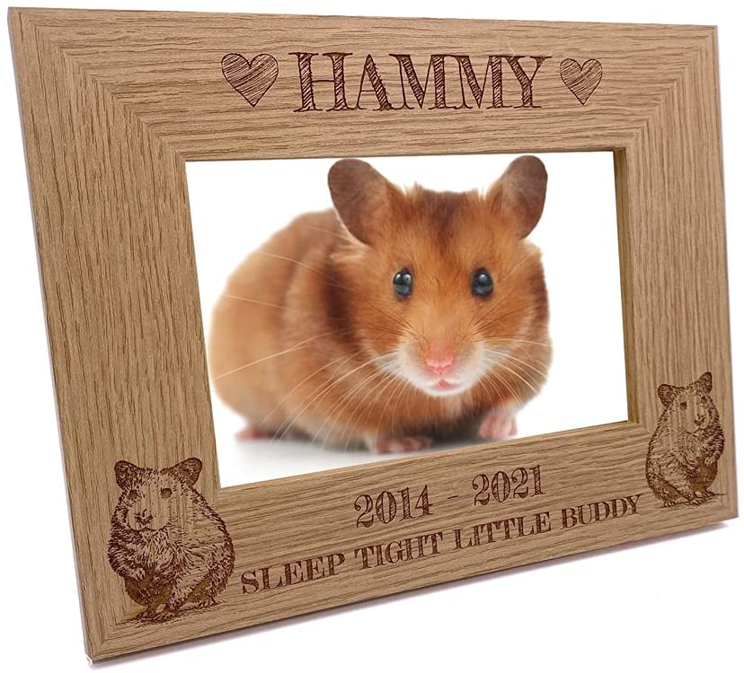 Personalised hamster Remembrance Memorial Photo Frame gift