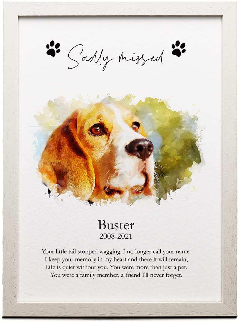 Personalised watercolour Sadly Missed Pet Dog Memory Framed Picture C170-9