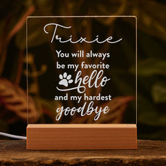 Personalised Pet Memorial LED Night Lamp Remembrance Keepsake